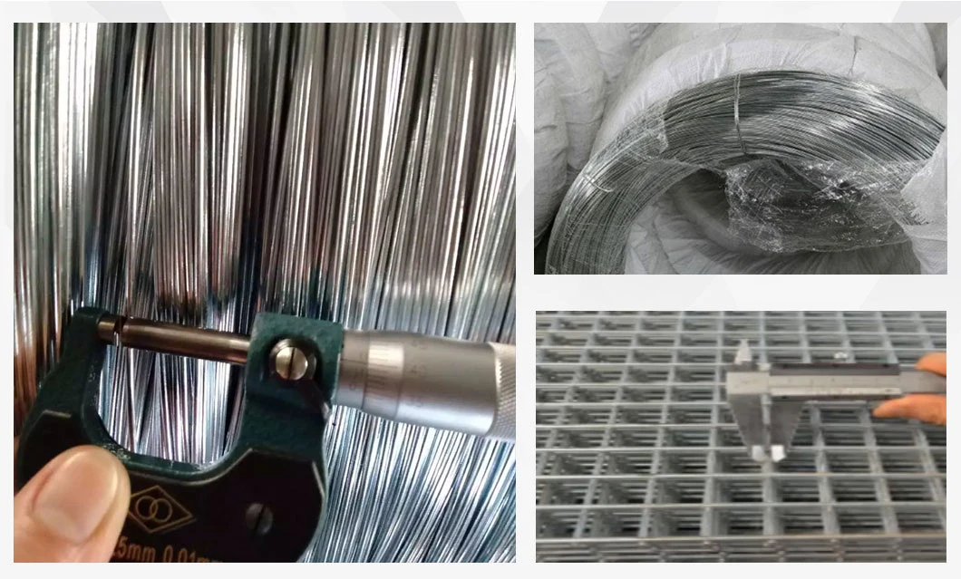 Factory Hot/Cold Rolled Low/High Carbon/Ms Steel Wire Rod SAE 1008 /1006 5.5 6.5 3.0 3.2mm Q195 Q235hot Dipped Gi Wire Nail Stainless Steel Wire Welding Rod